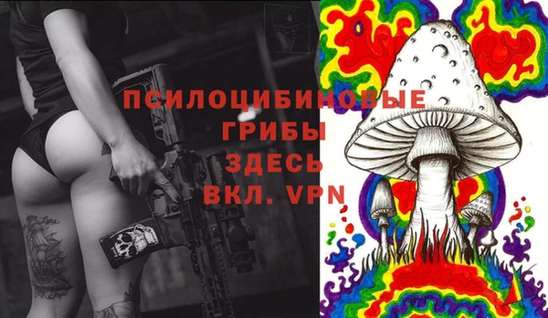 МДПВ Касимов
