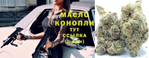 МДПВ Карпинск