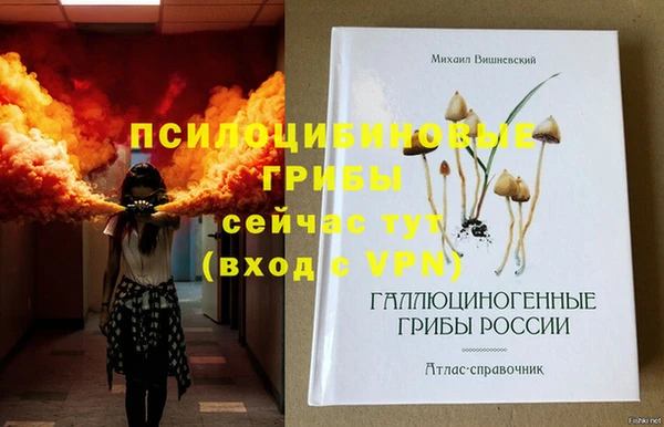 МДПВ Карпинск