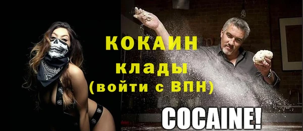 МДПВ Карпинск