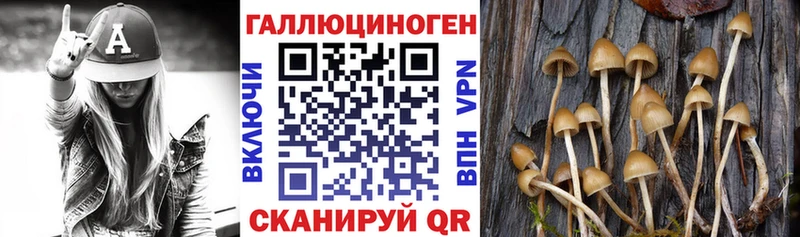 Купить  Горнозаводск  Псилоцибиновые грибы мухоморы 
